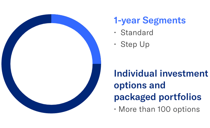 1 year segments (standard and step up) and Individual investment options and packaged portfolios (more than 100 options)