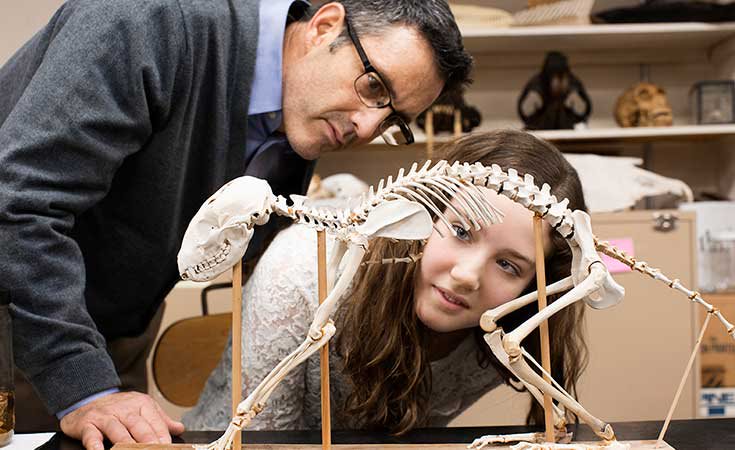 teacher and student observing animal skeleton