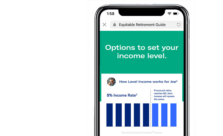 options to set your income level graphic