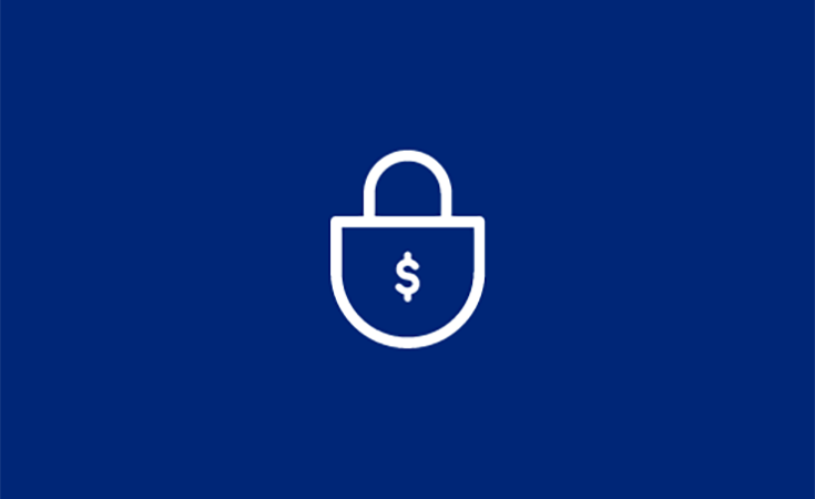 icon of a lock with a dollar sign on it