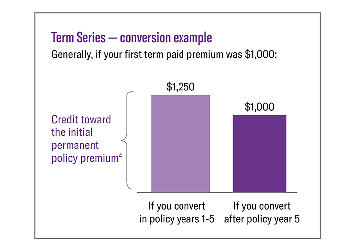 Term Series conversion example chart