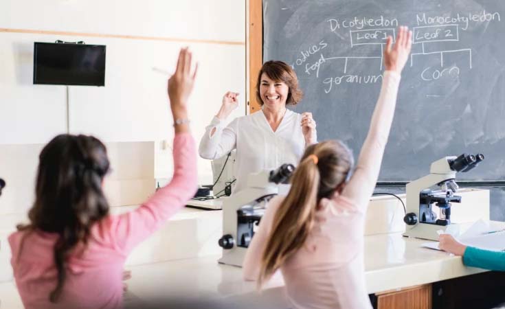 Students hands raised looking at teacher